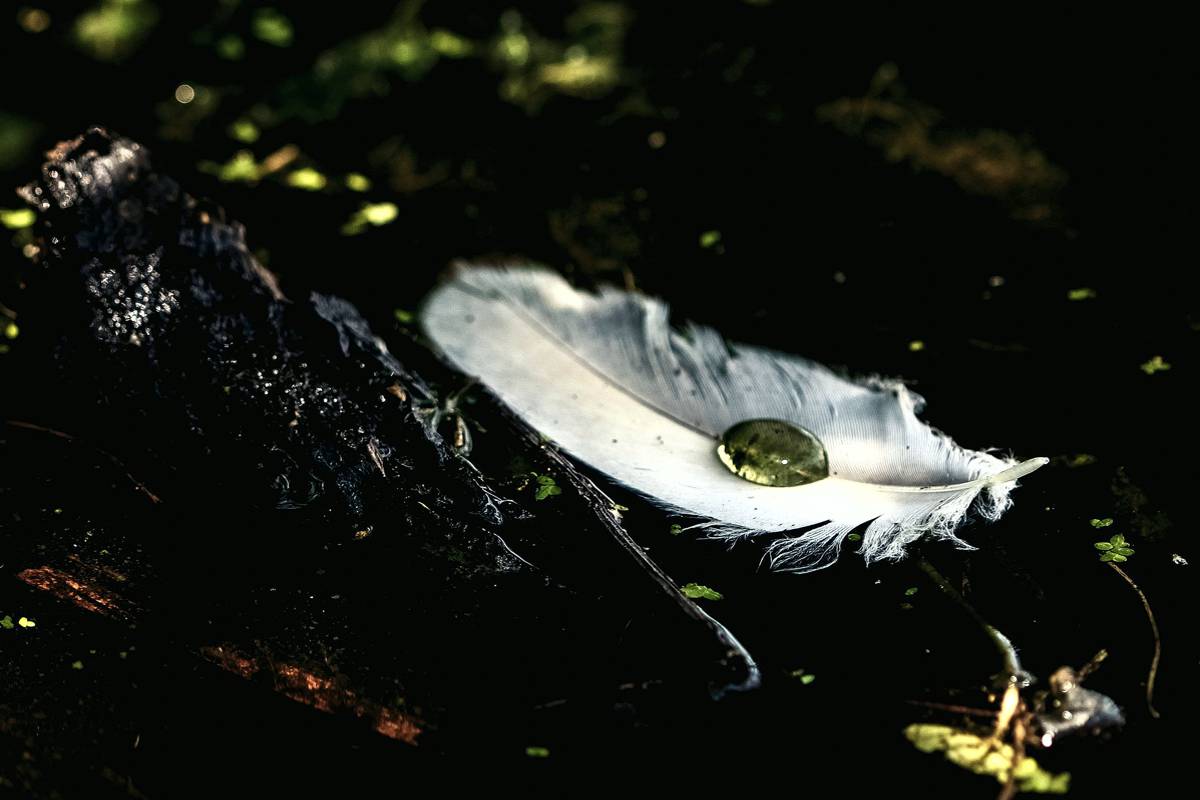Mágikus jelek: Miből tudhatod meg, hogy működésbe lépett a varázslat? Útmutató a mágikus jelek felismeréséhez